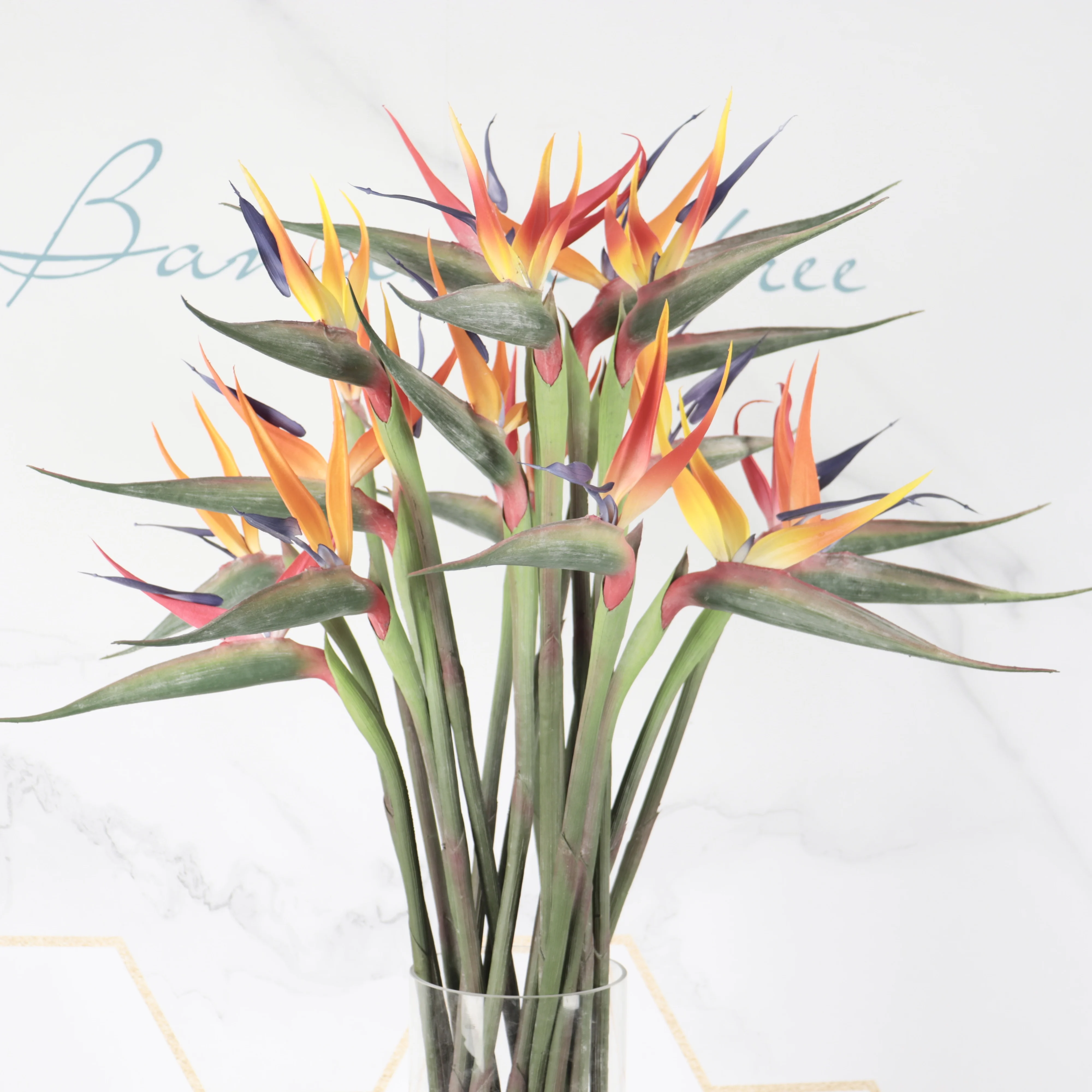 2021-11-18 165540.jpg