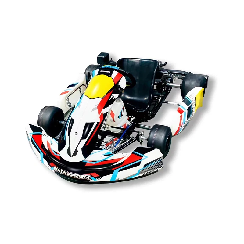 Adult Go Kart 196CC 200CC Cheap Gasoline Powered Sales Remote Control