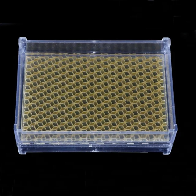 Beekeeping Tool 500g Plastic Honey Comb Box with Wax Foundation Sheet Cassette Honeycomb Box