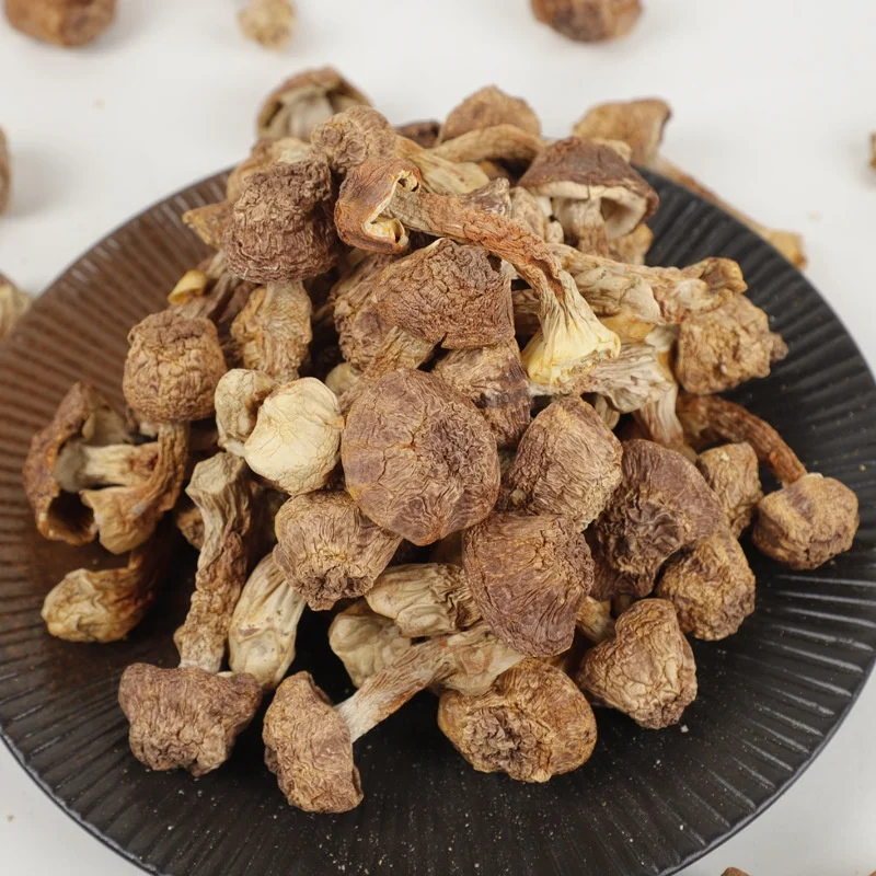 YINING Wholesale Natural Dried Agaricus Blazei High Quality magic mushroom