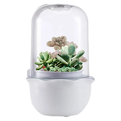 Innovation mini Indoor Smart Garden Succulent hydroponic growing system garden greenhouses pot
