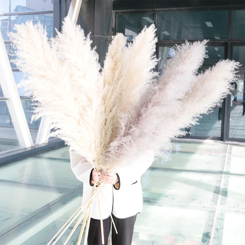 Wholesale High Fluffy Pampas Grass wall christmas tree white/pink Pampas Reed Grass dried flower Wedding Decorations Boho Decor