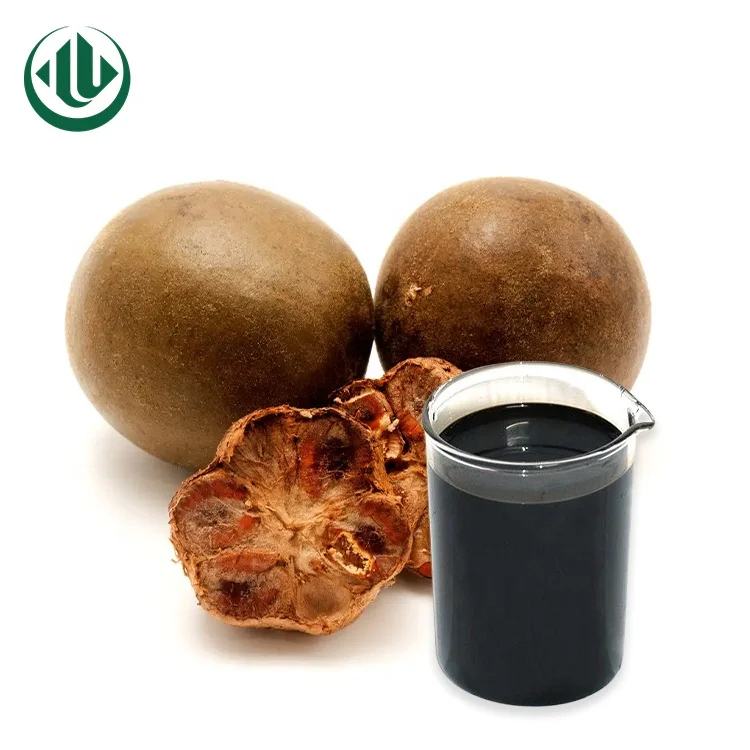Pure Monk Fruit Juice Concentrate Monkfruit Liquid Sweetener Extract Dried Fruit Mogroside V