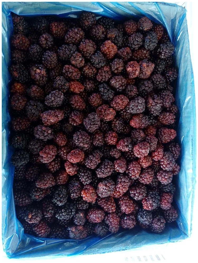 HACCP BRC certified good price frozen fruit IQF Blackberry
