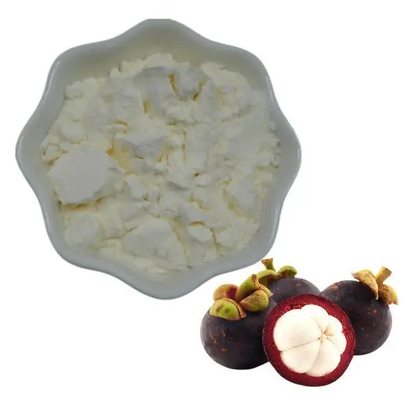 Factory Outlets Mangosteen Fruit Extract  Garcinia Mangosteen Powder Wholesales Mangosteen Fruit Juice Powder
