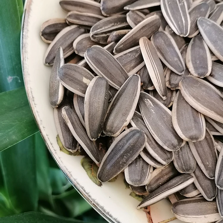 
New Crop 2021 Sunflower Seed Kernels Wholesale Price Black Sunflower Seeds 