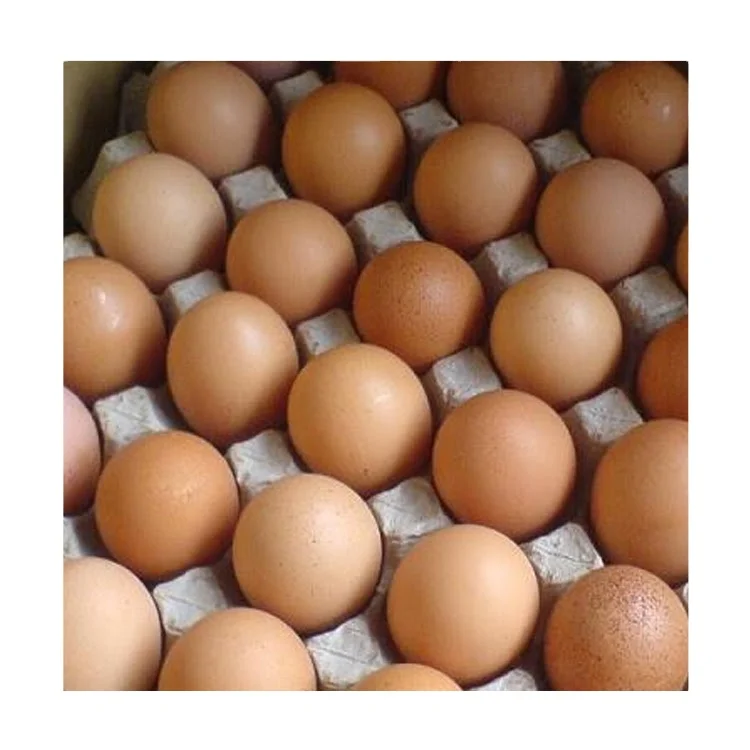 Свежие сельскохозяйственные Оптовые высококачественные белые и коричневые яйца для потребления человеком/свежие куриные фермерские готовый рынок