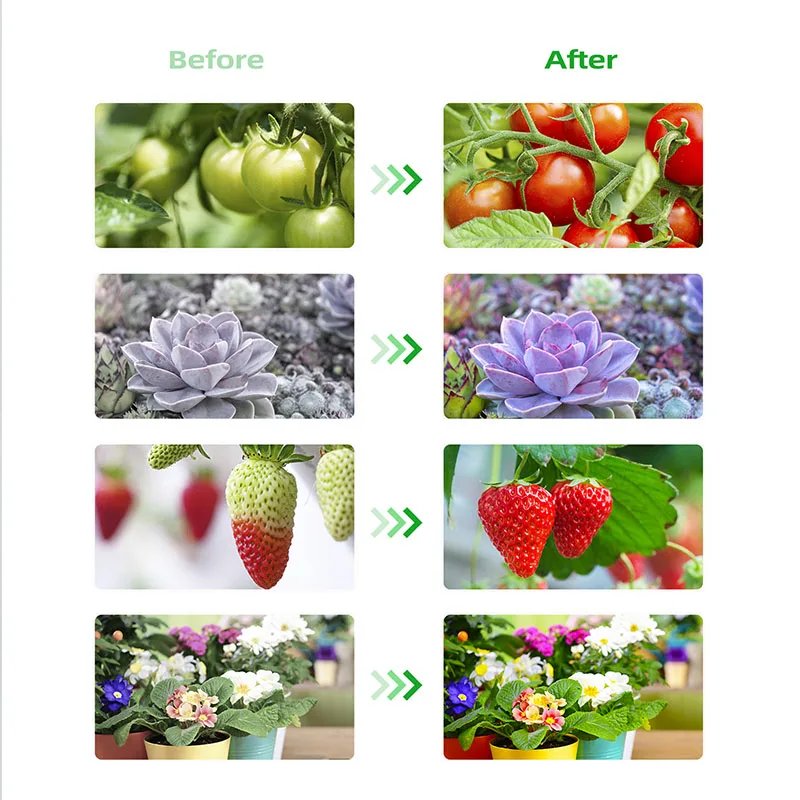 Greenhouse 4 Head Grow Light leds 20w Timer Desk Plant Light Adjustable Full Spectrum Indoor Plant Grow Lamp