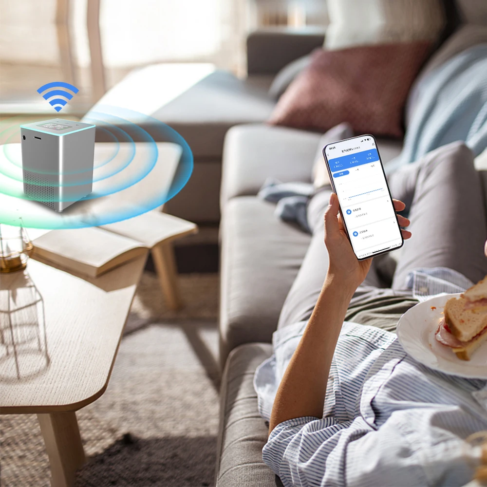 Real-time Radon Display NDIR sensor SD card Data Records Pulsed Ion Chamber Visual and Audible alarms Radon Detector for home