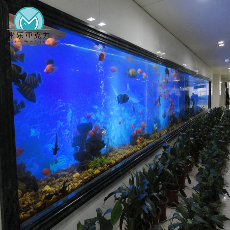 Large Acrylic new style Aquarium Tanks Sale Marine Aquarium Fish Tank