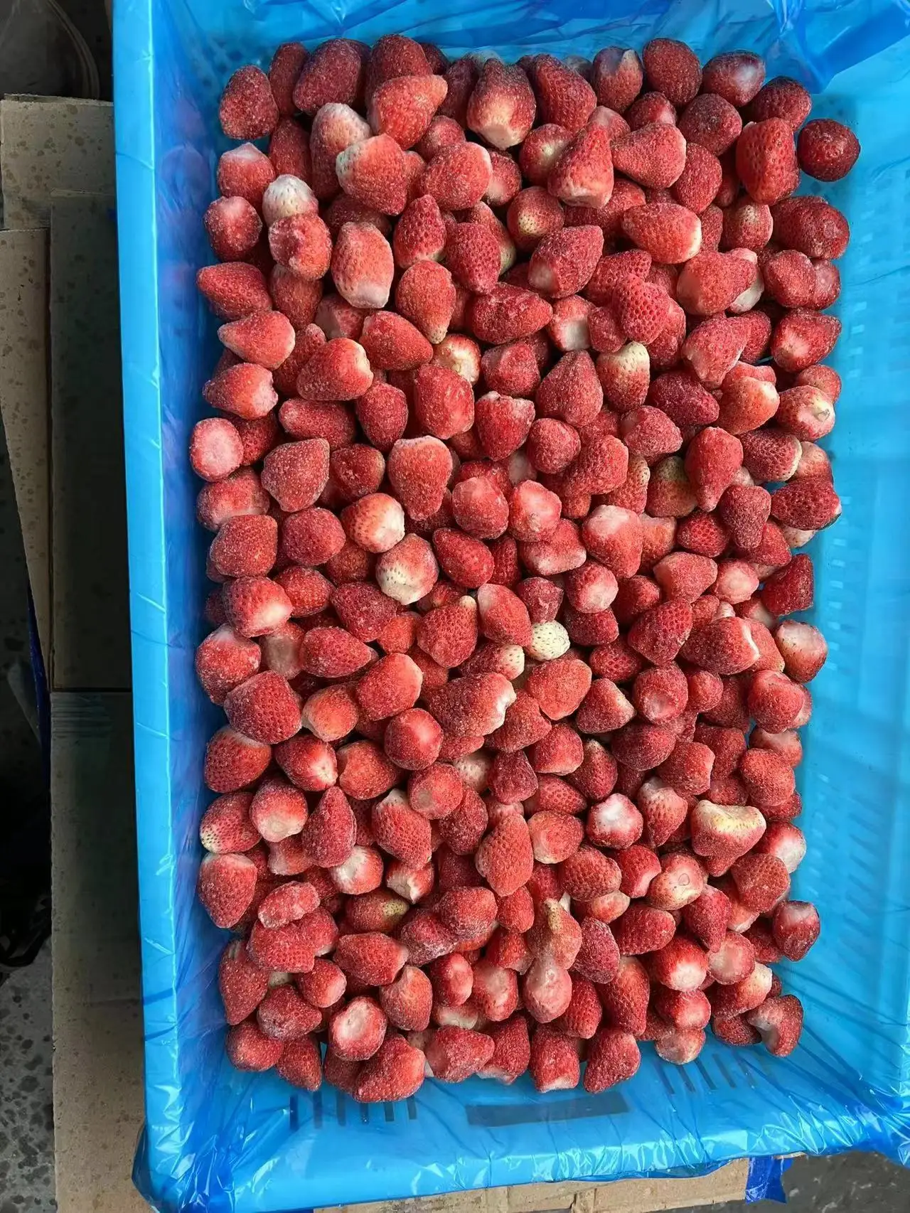 2024 New Crop Frozen Strawberry Whole IQF Strawberry Whole Frozen Fruits