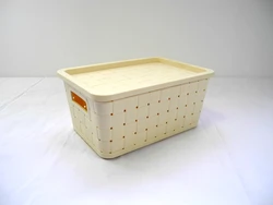 New Popularity Hot Sale plastic PP rattan handle pharmacy Kitchen Modern Portable Storage Basket with lid