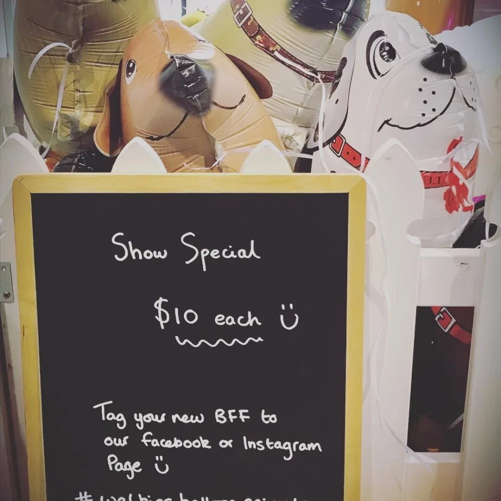 Walking Pet Animal HELIUM Balloons Cute Dog Panda Dinosaur Tiger pet air Ballons birthday party decorations kids and adult