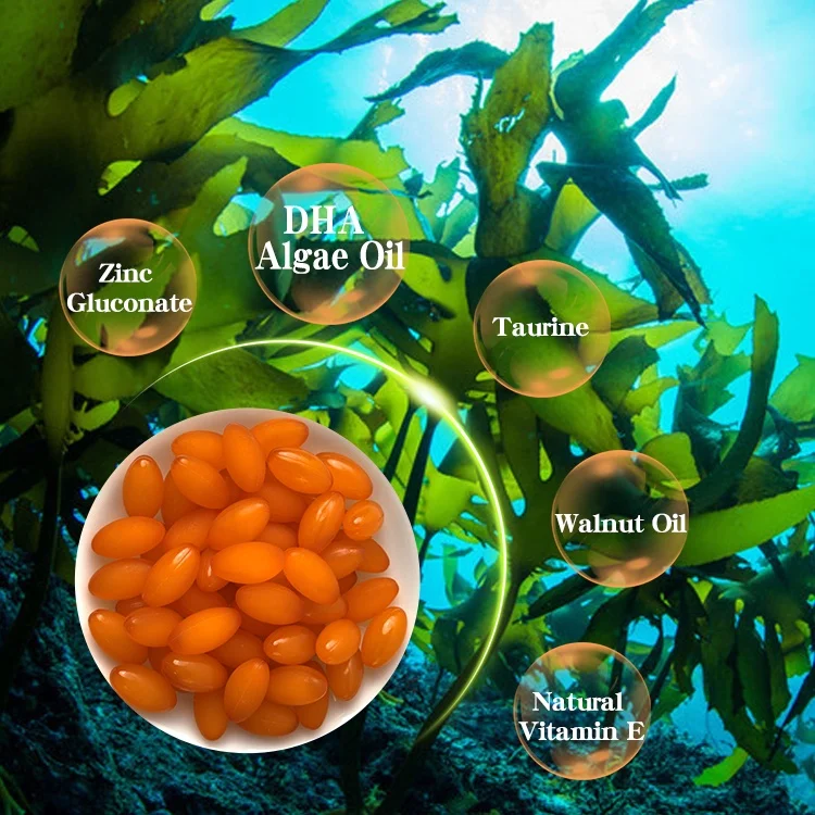 Wholesale Nutritional Supplements Algal Oil Softgel Best Price Improve Memory DHA Taurine Zinc Soft Capsule