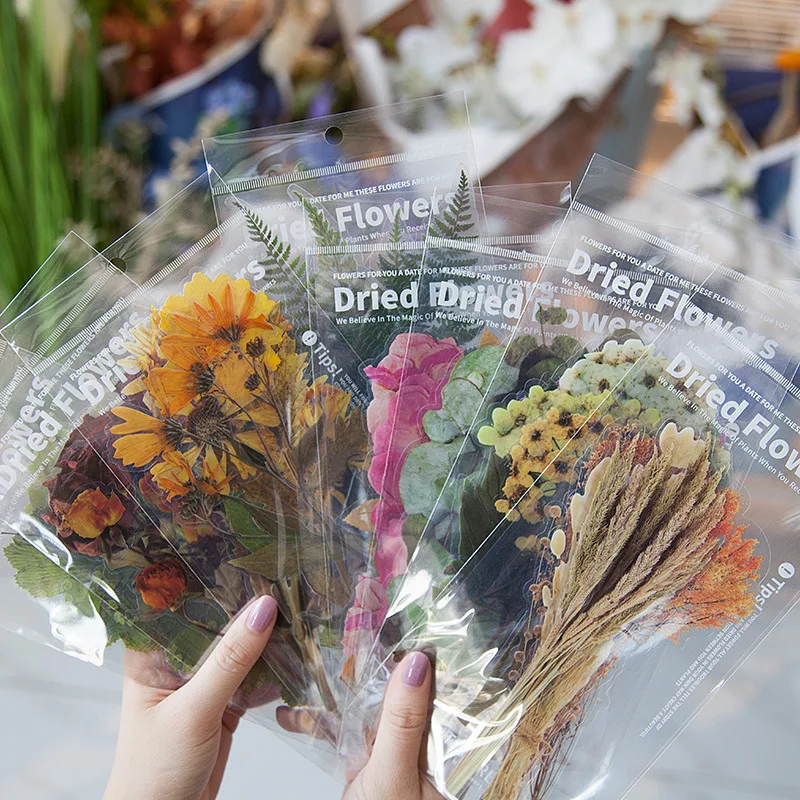 PET Big Size 6Pcs Flower Plant Transparent Stickers For Kid Scrapbook Vintage DIY Label Dry Flowers Sticker