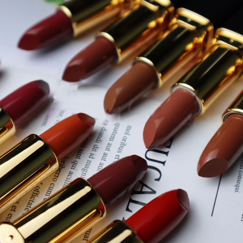 OEM Soft Matte Lipstick Long Lasting Lip Stain High Pigmented Lipstick