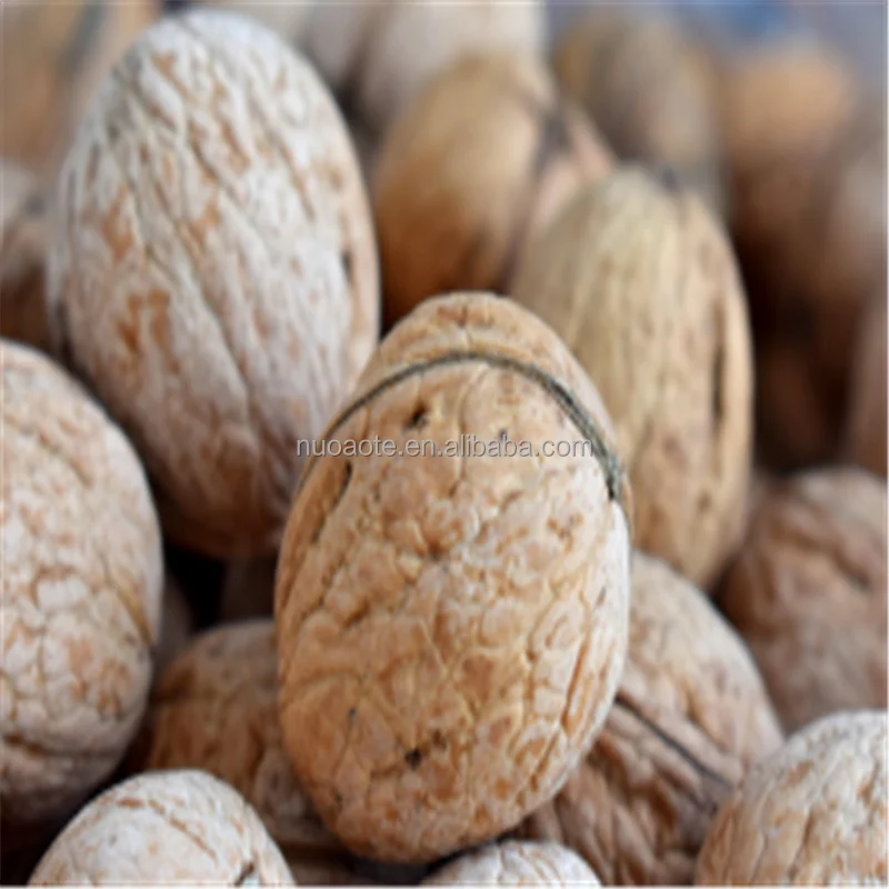 Модный грецкий орех, лидер продаж, оптом, Китай