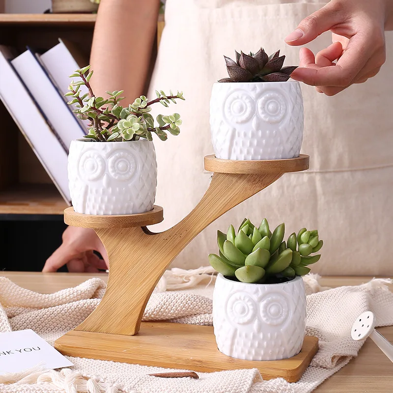 Simple white creative modern succulent flower planter owl with treetop bamboo stand zakka combination potted ceramic plant pots