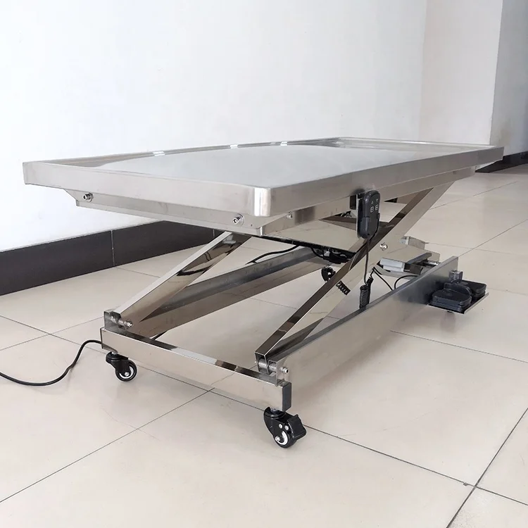 EURPET High Quality Veterinary 304 Stainless Steel Flat Panel Electric Lifting Pet Treatment Table