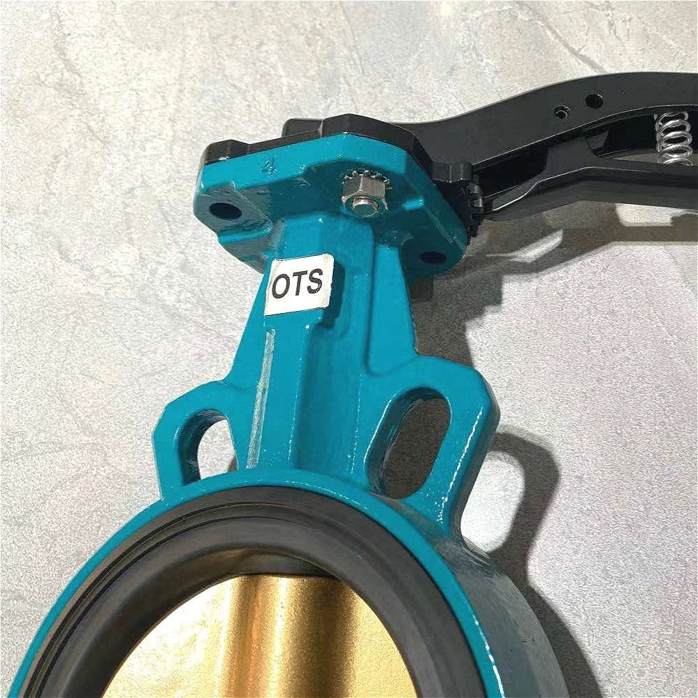 
JIS 5k/10k Double Flanged Butterfly Valve ABS Approved Tianjin Valve 