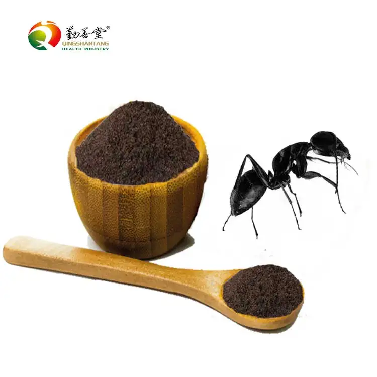 
High Quality 100% Pure and Natural OEM ODM black ant extract 30:1 powder  (1600070980701)