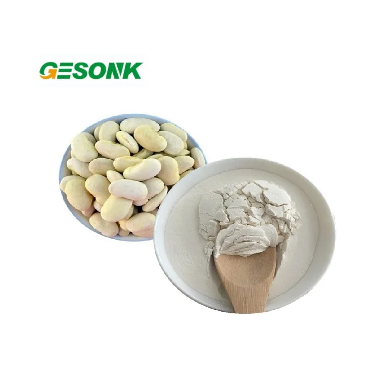 Factory Supply Natural White Kidney Bean Extract 2% 4% Phaseolin Powder