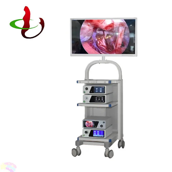 Low price Industrial endoscope medical endoscope camera ccd camera