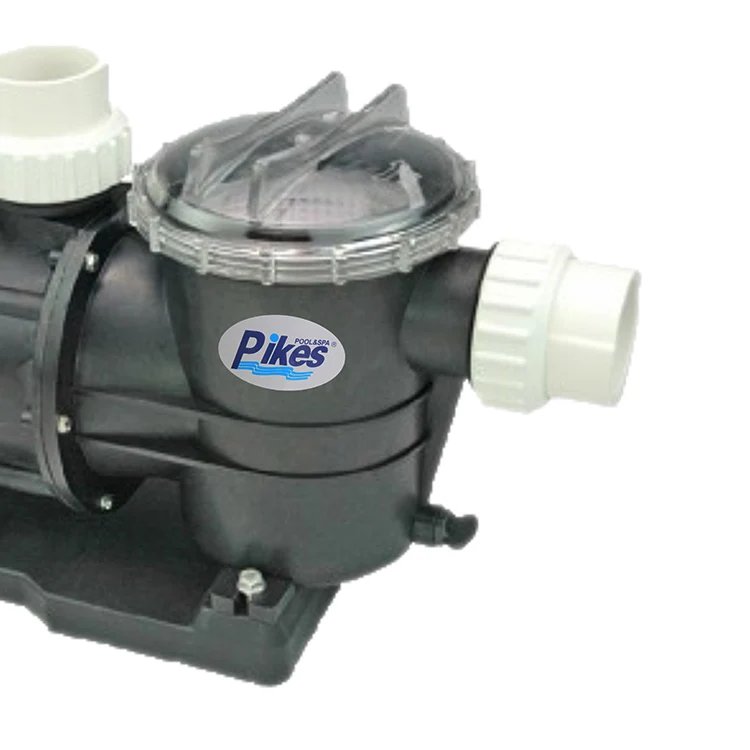 Swimming Pool Equipment Motor Pool Pump Price 0.75hp Small Pumps For Pool