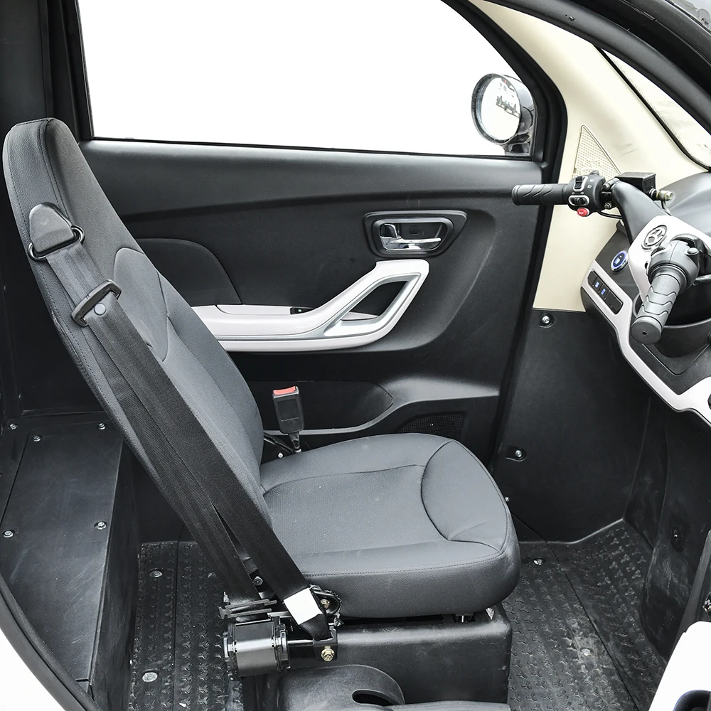 Professional Eec Mini Electric Cargo Tricycle new Three Wheel E Trike Closed Electric Tricycle for Transportation in Urban