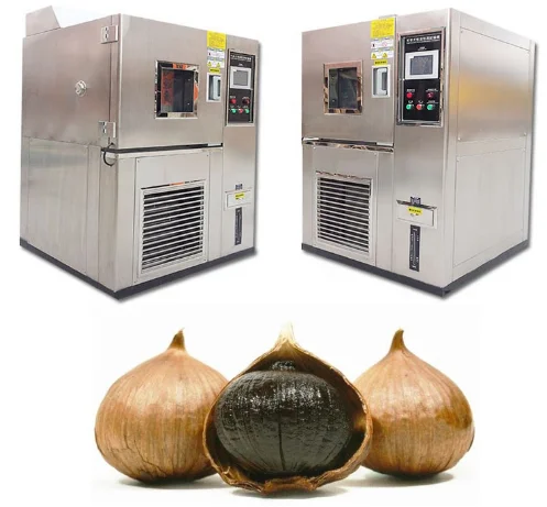 Commercial Black Garlic Fermenter /Black Garlic Fermenting Chamber/Black Garlic Maker Machine