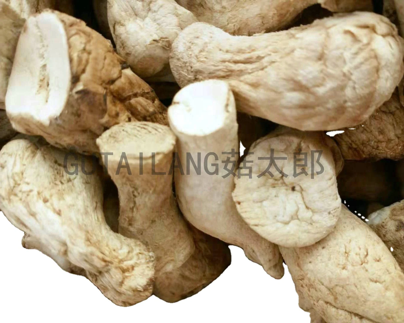 shiitake mushroom stem foot stipe mushroom stalk dried shiitake mushroom leg stalk