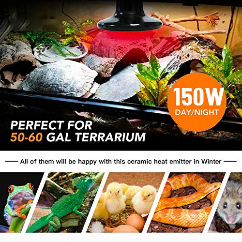 E27 ceramic animal lamps heater bulb 75W 150w chicken 250w infrared lamp for reptiles