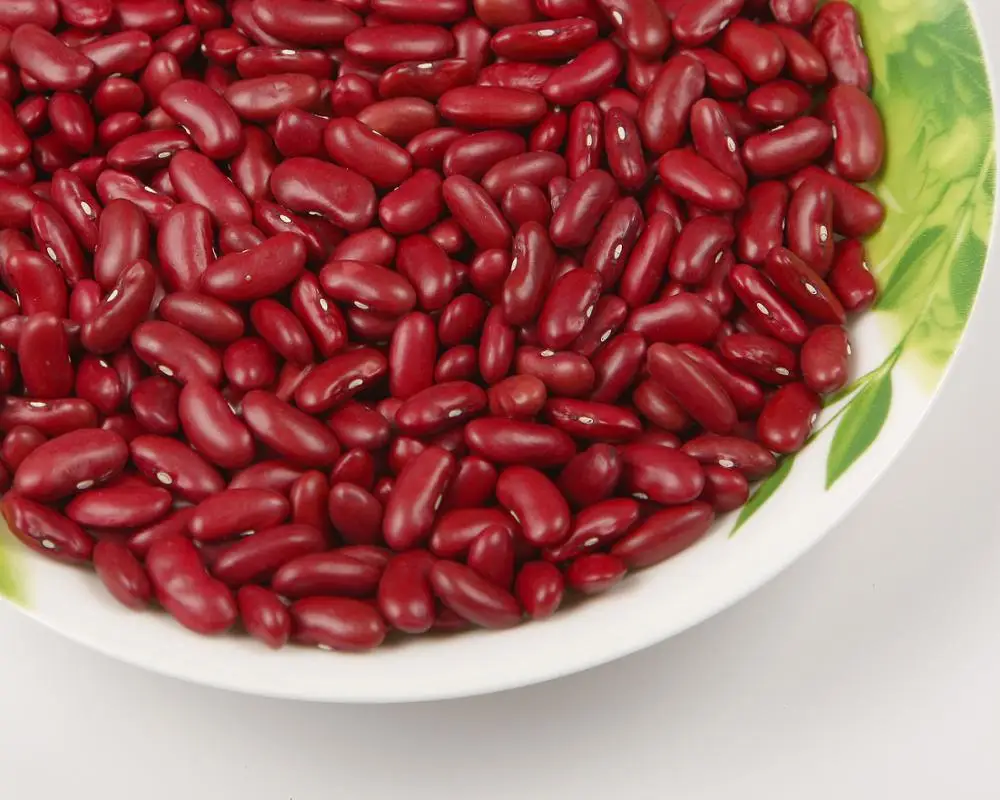 
Dark Red kidney beans 