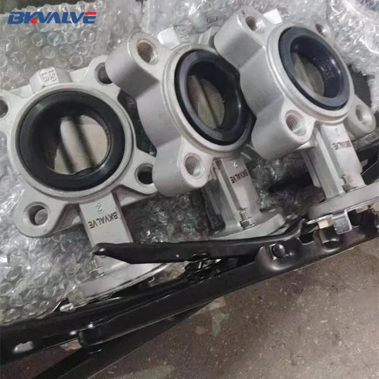 ss lug butterfly valve-1.jpg