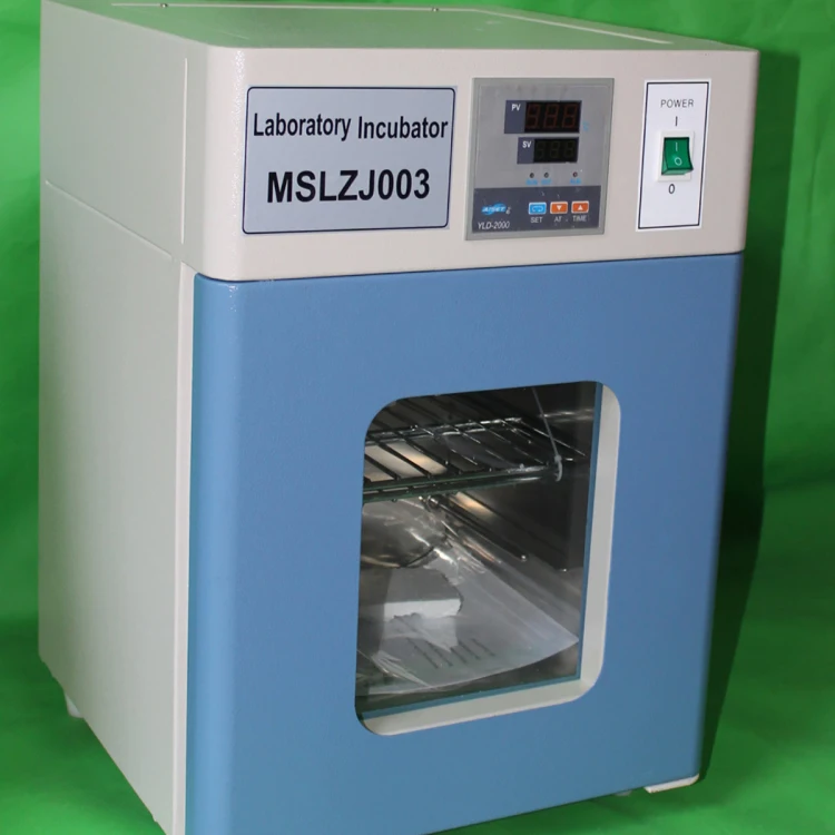 Medical Mini Lab Incubator Hight quality Stainless Steel Interior 50lt  Laboratory Incubator (1600306445331)