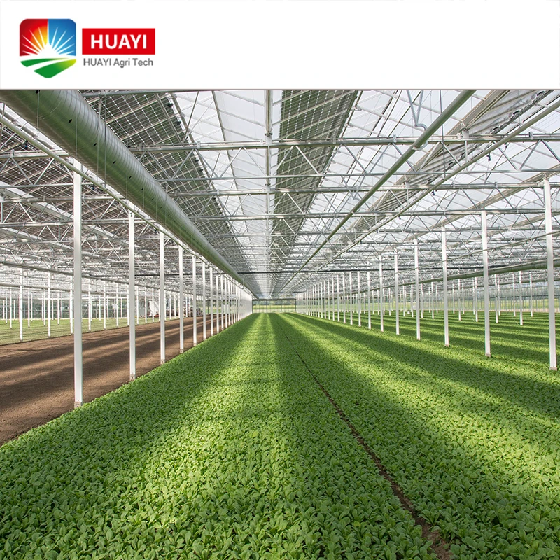 Large span commercial PC Sheet Greenhouse agriculture buy from China best price