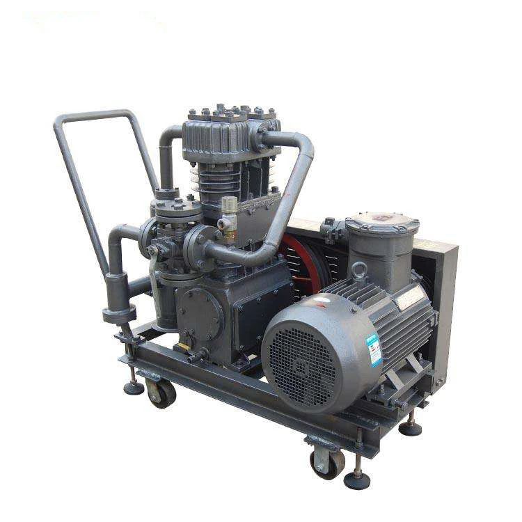 China Brand Oil Free Piston Compressor LPG CNG Liquefied Petroleum Gas Compressor Portable for Filling Station
