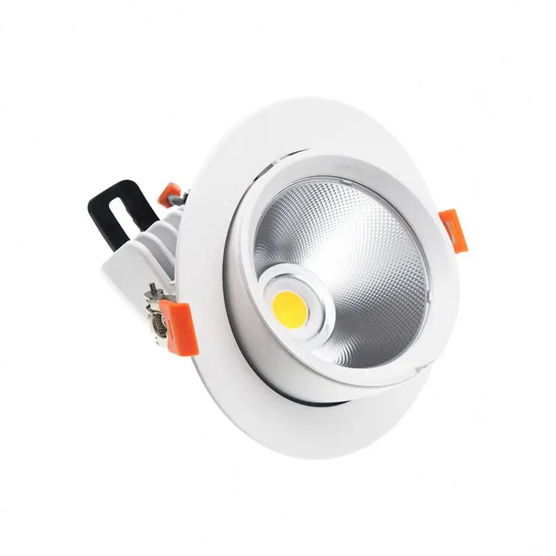 Recessed Trimless Downlight
