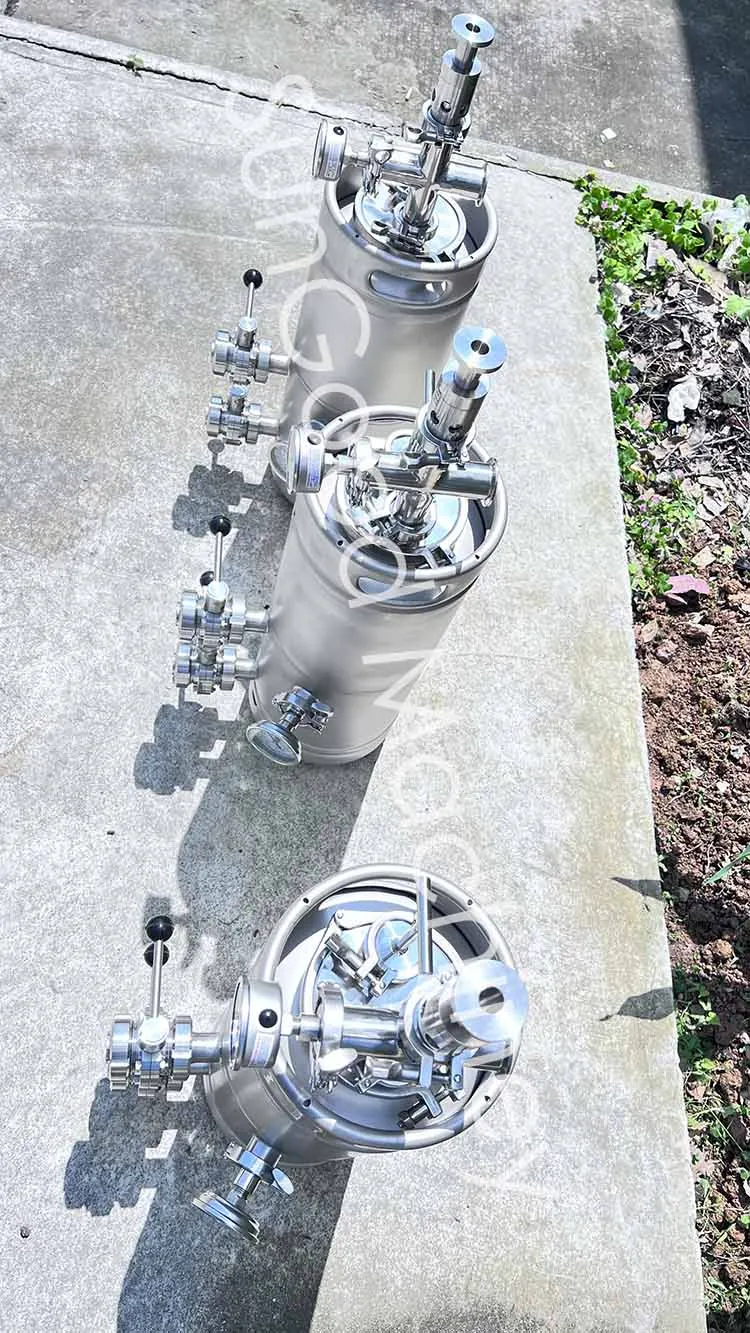 20L 30L 50L 60L yeast propagation keg Beer Keg For Dry Hop And Add fruit/Keg Yeast Brink/Yeast Propagation Keg