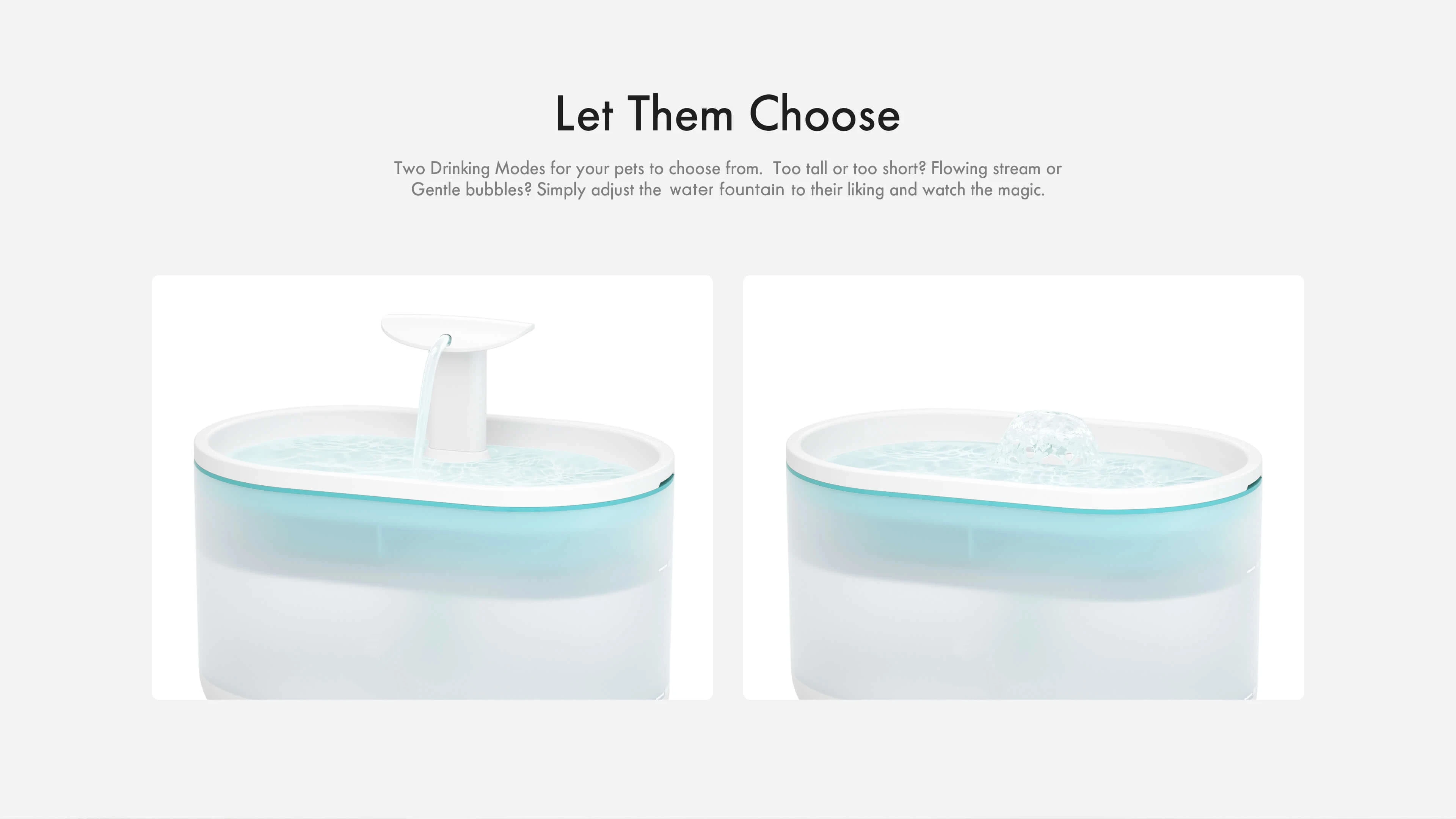 New arrival Pet water fountain filter drinking water dispenser water fountain for pets