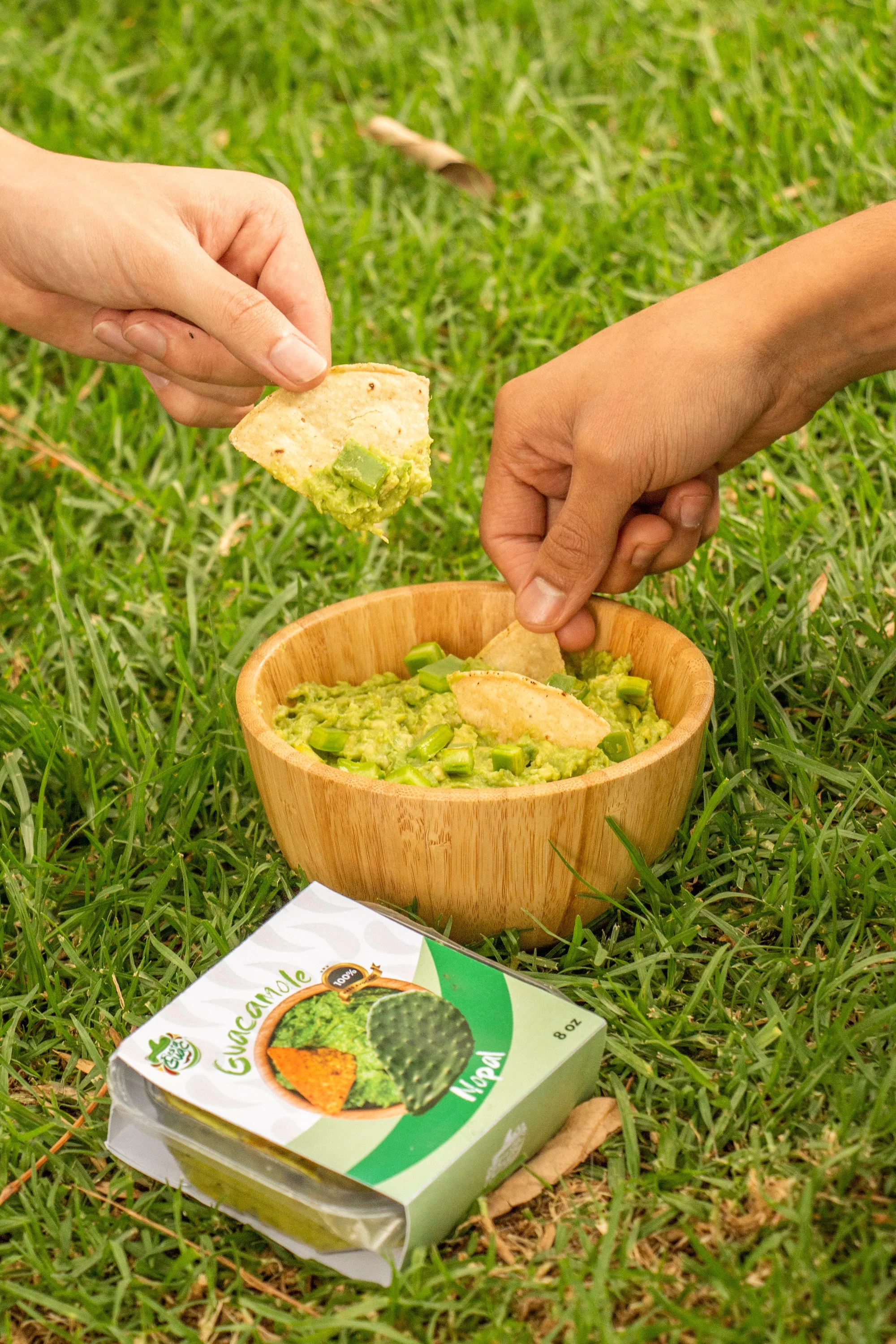 Wholesale Food Other Food Fruit Products Quality Fresh Avocado Wholesale Fresh Fruit Sales Fresh Dried Fruit