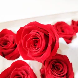 Best quality Yunnan factory Wholesale natural eternal Immortal flower head preserved roses