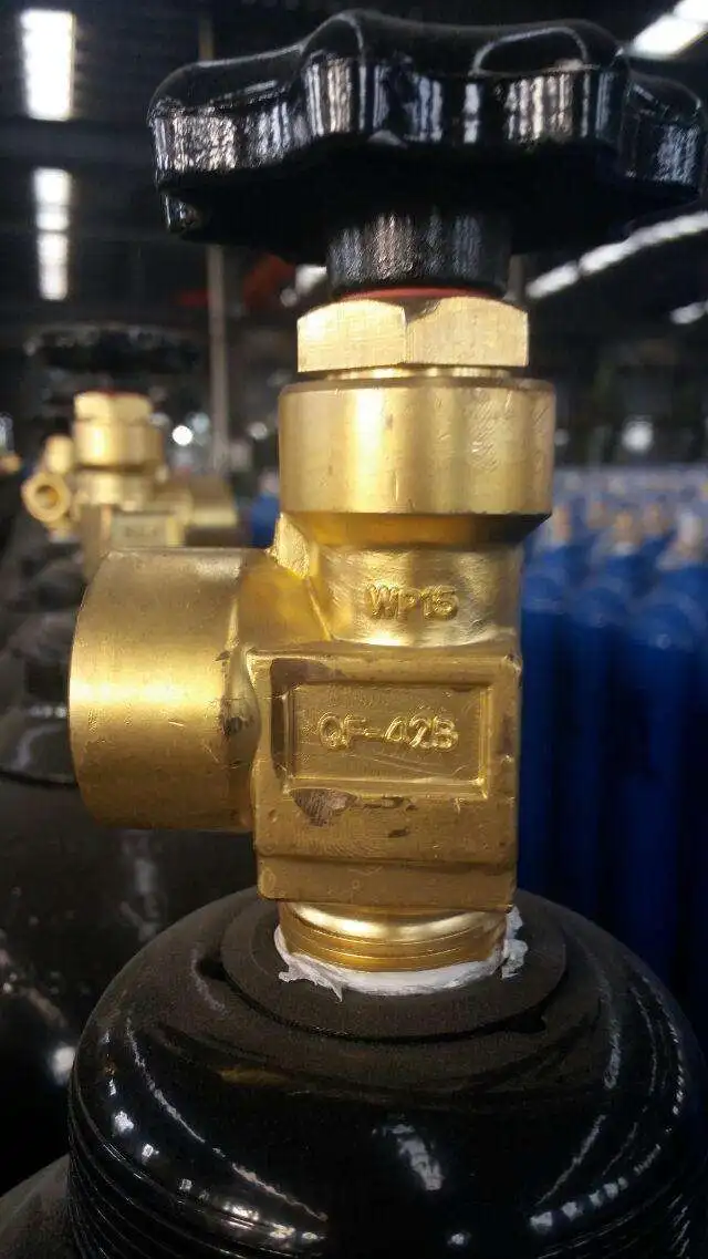 high quality best safety portable 10 liter oxygen cylinder/bottle/tank with high pressure for medical use