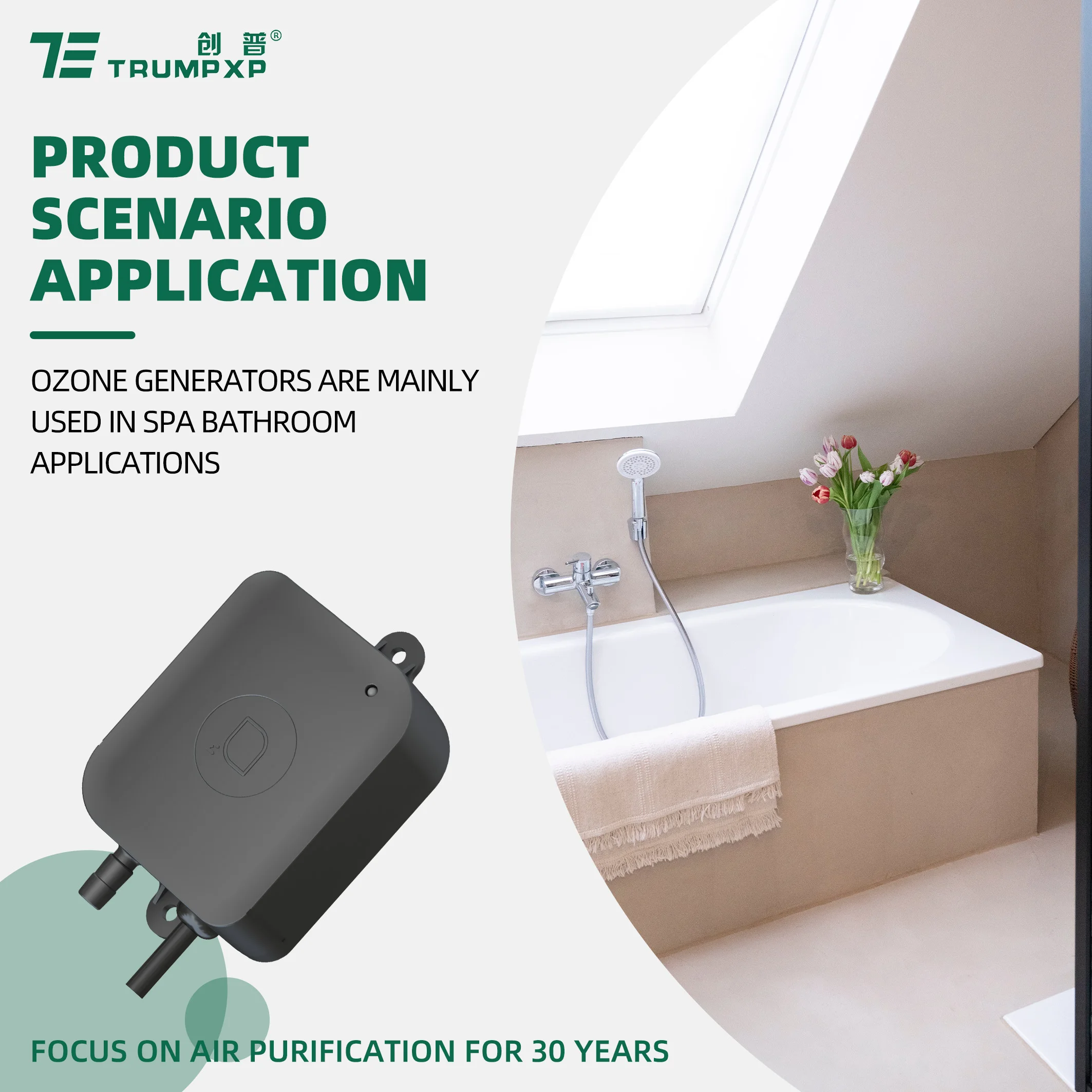 OFF-GAS TCB-228 China Supplier Cheap Spa Ozone Generator 200mg/hour Ozone Water Purifier