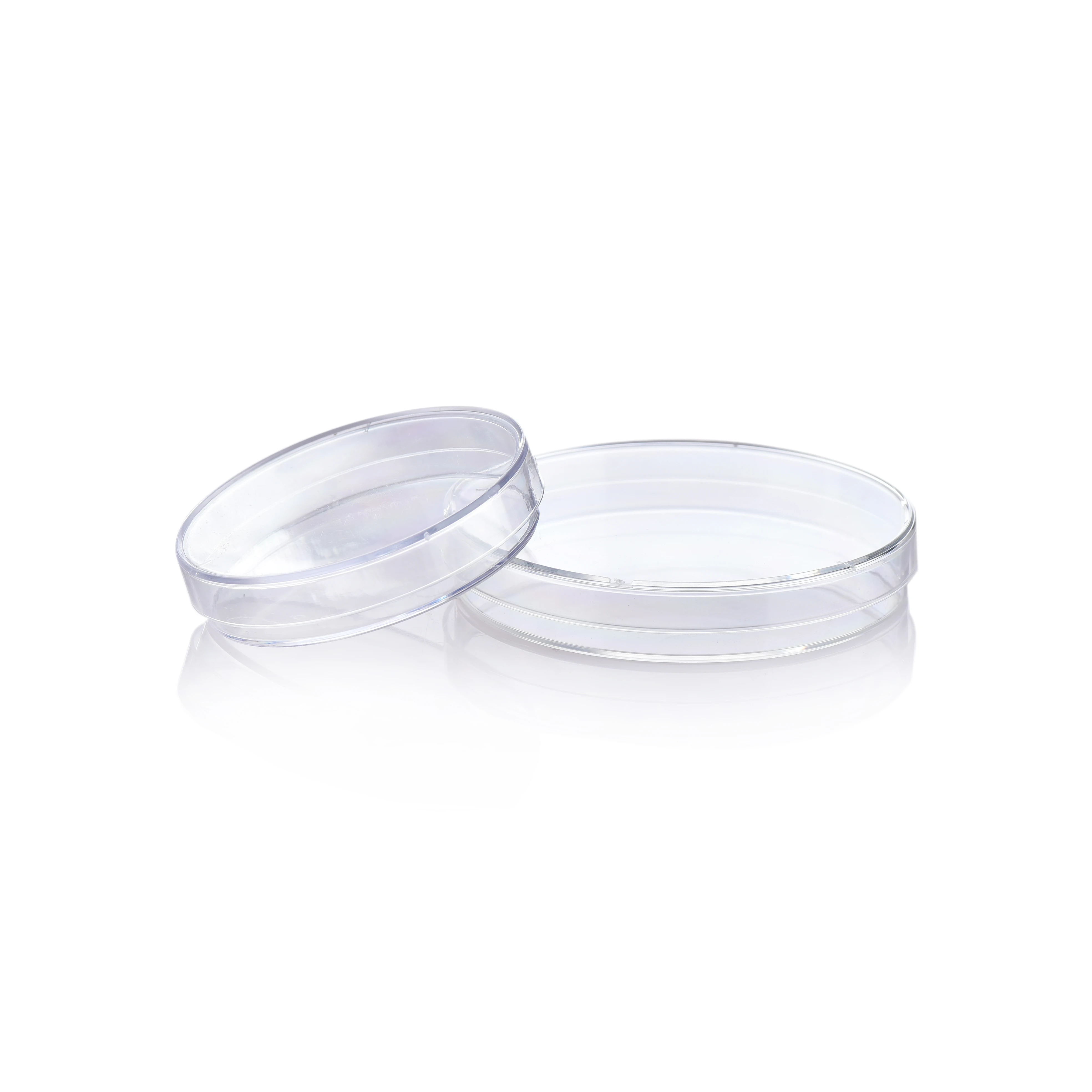 agar,culture media,petri dish