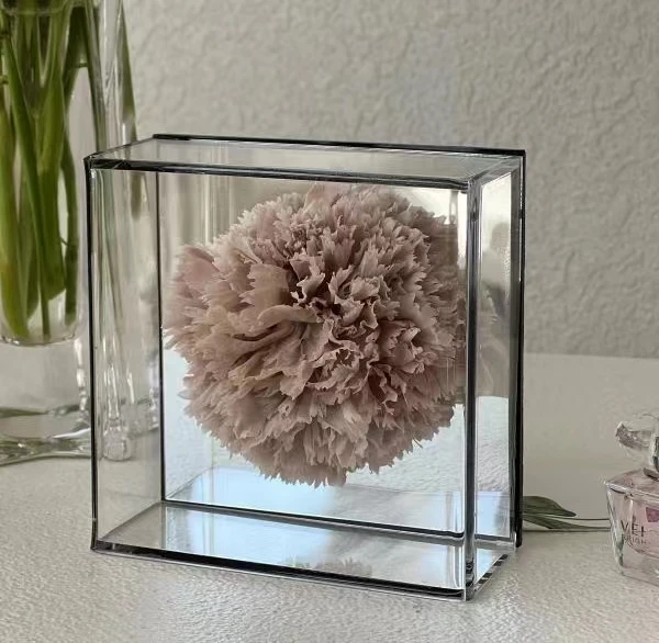 Beautiful Gift Forever Flower Preserved Flower Preserved Carnation Mirrored Acrylic Box
