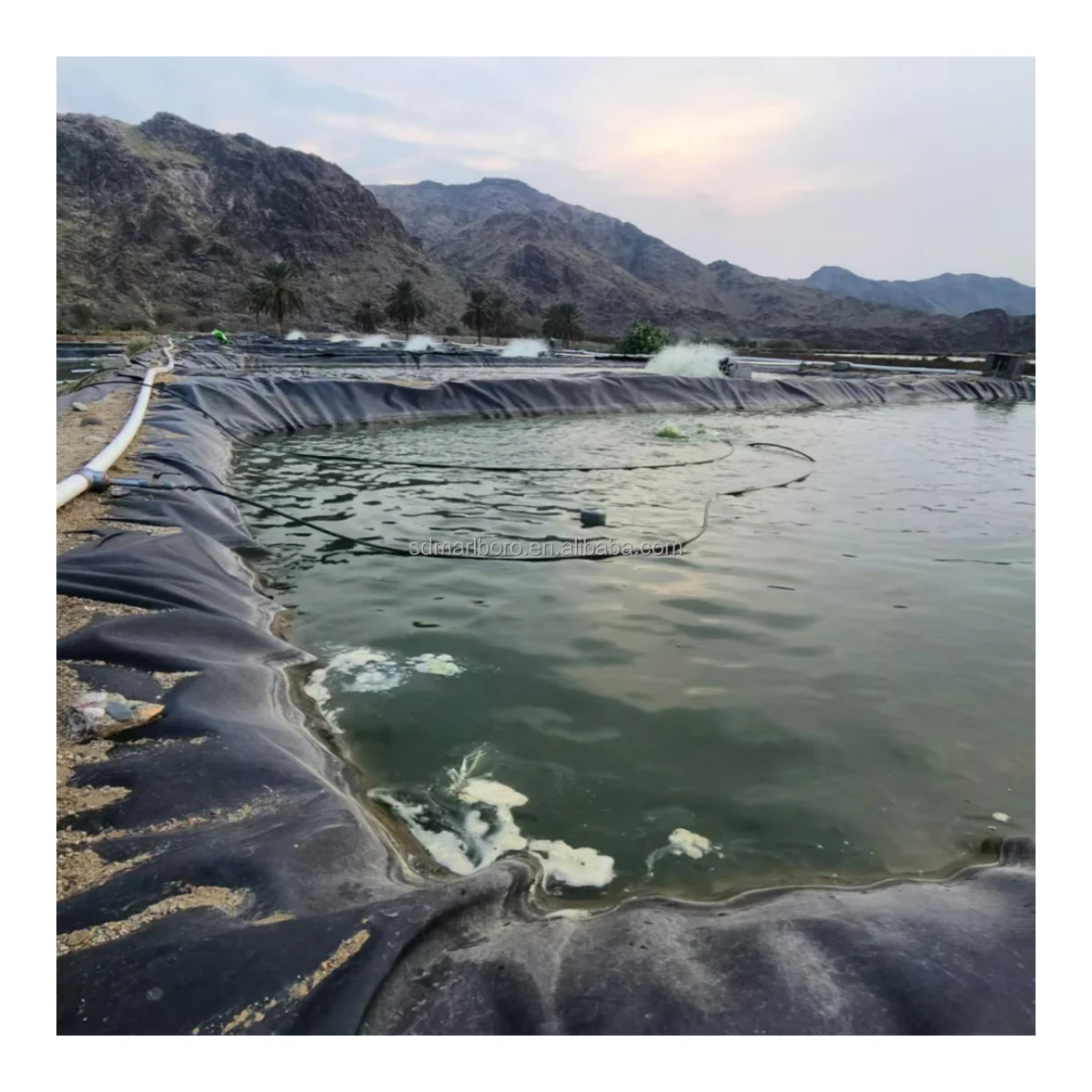 SDM New Popularity Hot Sale Good Adhesion Waterproof Geomembrane Ultrahigh Molecular Weight Polyethylene Membrane