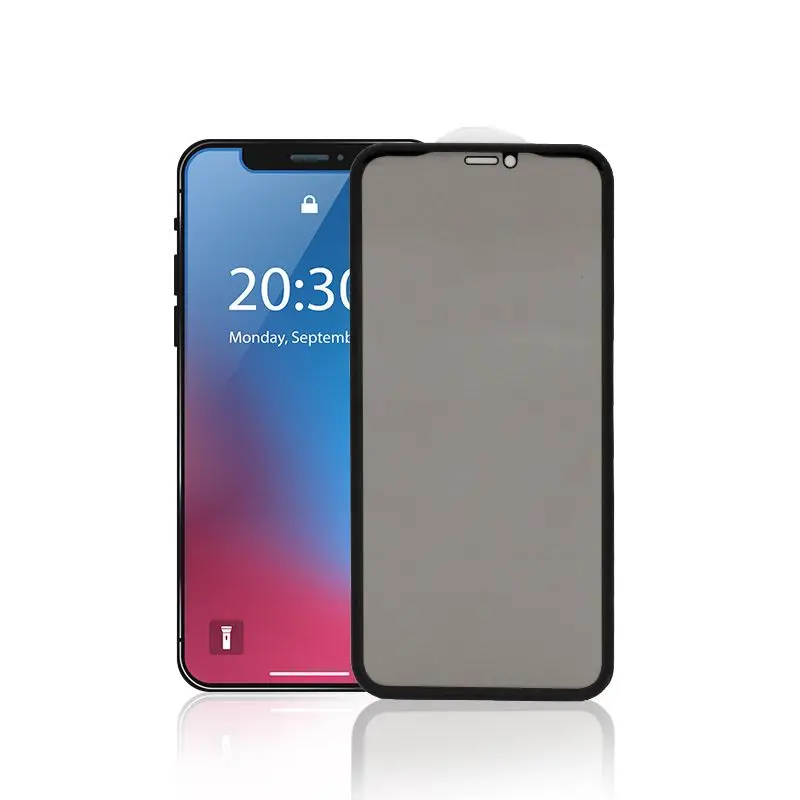 RTSA-10 2.5D Защита экрана для iphone xs max с антибликовым покрытием 0 33 мм шелковая печать конфиденциальность IPhone 11