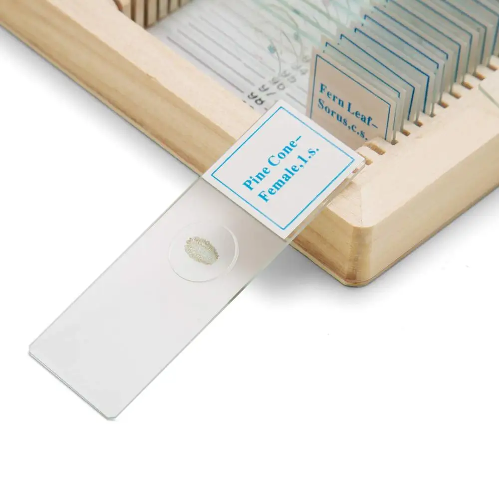 Fixed 100 Items Different Prepared Microscope Histology Slides Set