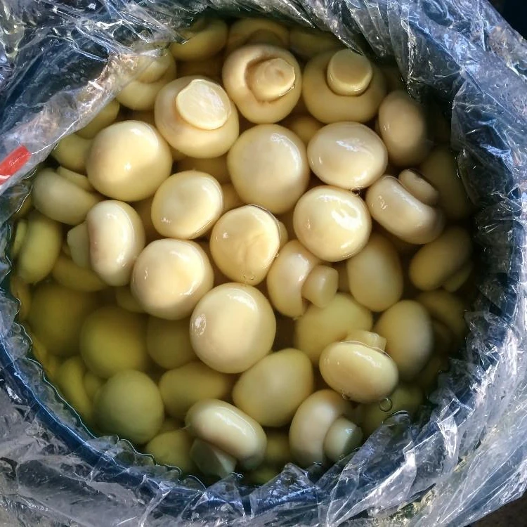2022 China whole mushroom in drums Champignon High Quality In Brine Barrel